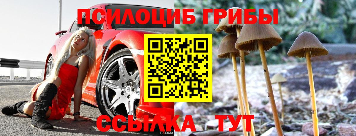Псилоцибиновые грибы мухоморы Ухта