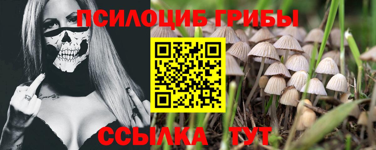 Псилоцибиновые грибы Magic Shrooms  Псилоцибиновые грибы мухоморы  Вход с VPN  Ухта 